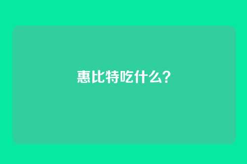 惠比特吃什么？