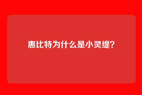 惠比特为什么是小灵缇？