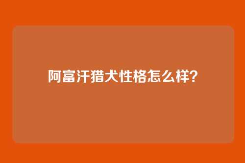 阿富汗猎犬性格怎么样？