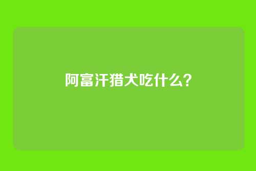 阿富汗猎犬吃什么？
