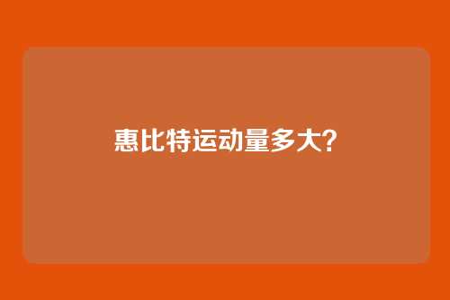 惠比特运动量多大？