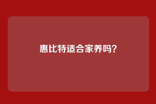 惠比特适合家养吗？