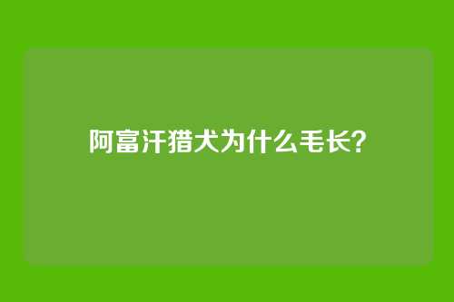 阿富汗猎犬为什么毛长？