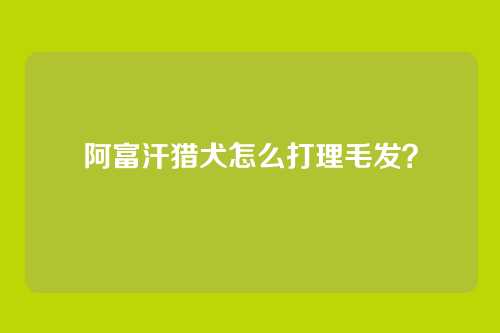 阿富汗猎犬怎么打理毛发？