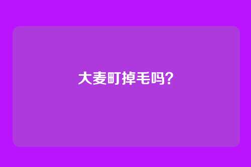 大麦町掉毛吗？