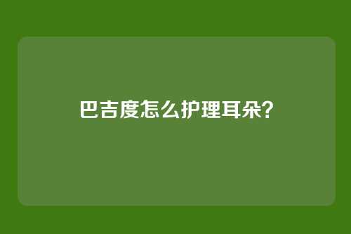 巴吉度怎么护理耳朵？