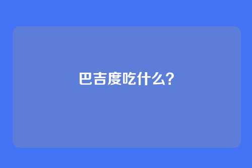 巴吉度吃什么？