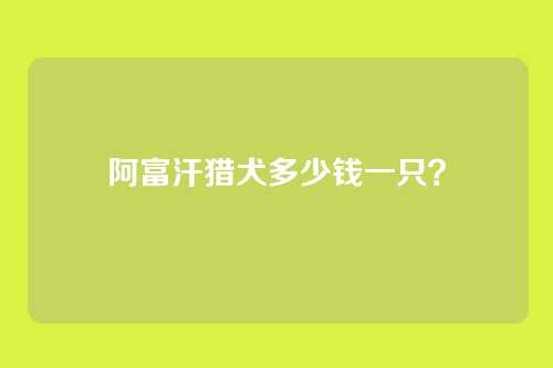阿富汗猎犬多少钱一只？