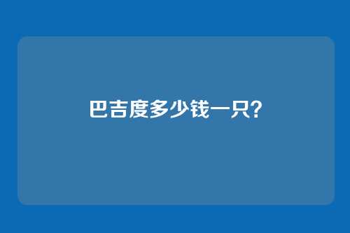 巴吉度多少钱一只？