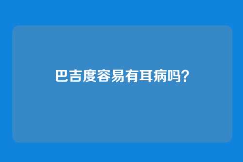 巴吉度容易有耳病吗？