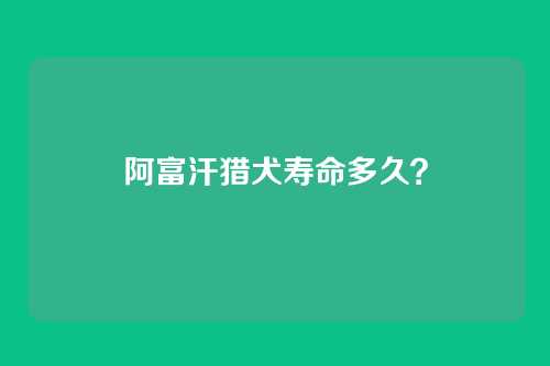 阿富汗猎犬寿命多久？