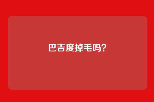 巴吉度掉毛吗?