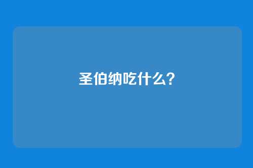 圣伯纳吃什么？
