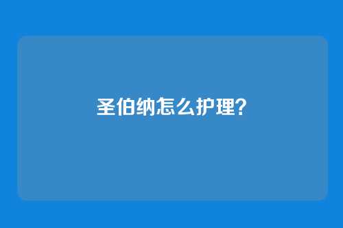 圣伯纳怎么护理？