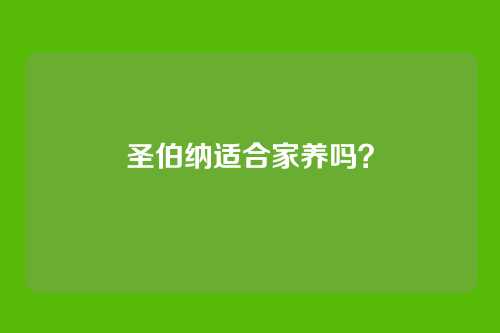 圣伯纳适合家养吗?