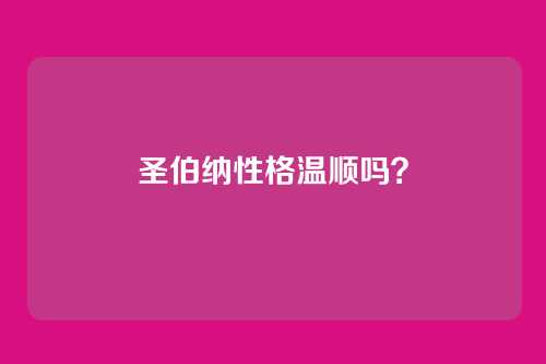 圣伯纳性格温顺吗?