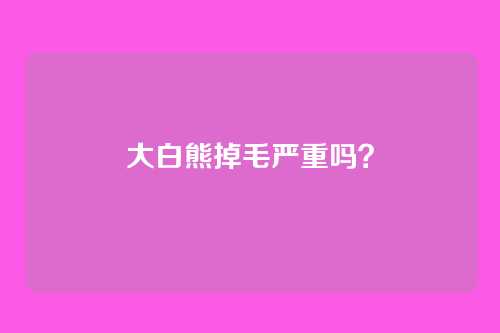 大白熊掉毛严重吗?