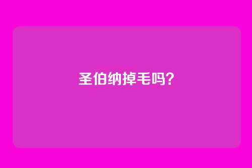 圣伯纳掉毛吗？